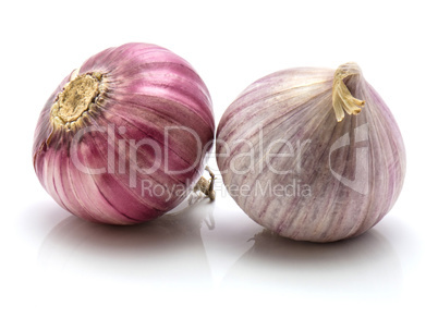 Fresh chinese garlic isolated on white