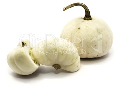 White pumpkin isolated on white