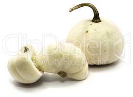 White pumpkin isolated on white
