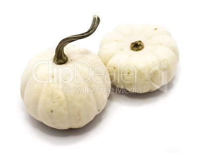 White pumpkin isolated on white