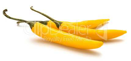 Fresh yellow chili pepper isolated