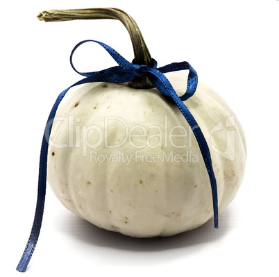 White pumpkin isolated on white