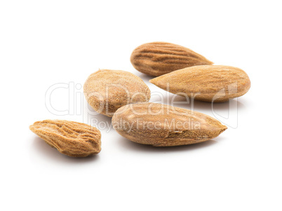 Raw almonds isolated on white