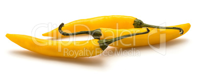 Fresh yellow chili pepper isolated