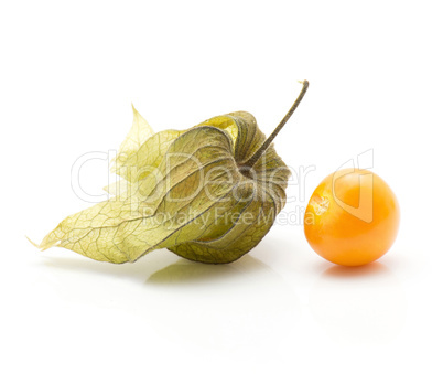 Fresh physalis isolated on white