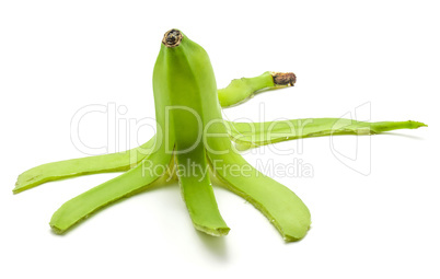 Fresh raw plantain isolated on white