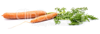 Raw carrot isolated on white