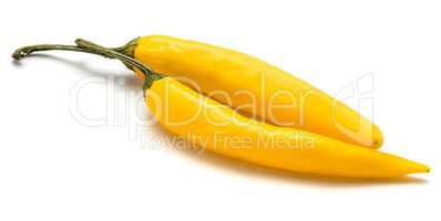 Fresh yellow chili pepper isolated