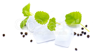 Fresh lime and melissa isolated on white