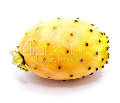 Fresh opuntia isolated on white