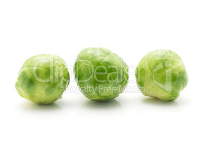 Boiled brussels sprout isolated