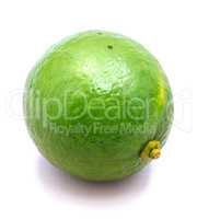 Fresh lime isolated on white