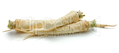 Fresh parsley isolated on white