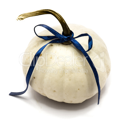 White pumpkin isolated on white