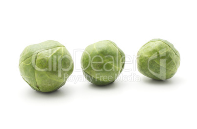 Raw brussels sprout isolated