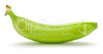 Fresh raw plantain isolated on white