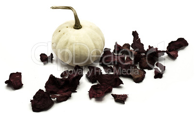 White pumpkin isolated on white