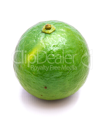 Fresh lime isolated on white