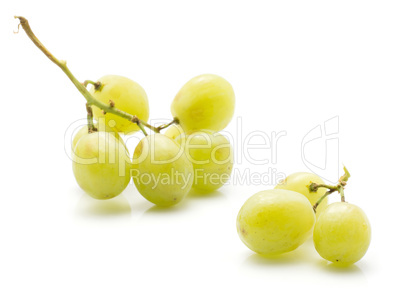 Green grape isolated on white