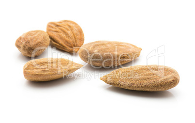 Raw almonds isolated on white