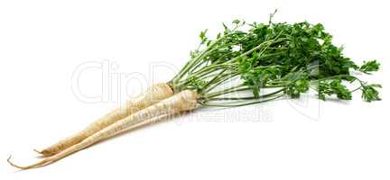 Fresh parsley isolated on white