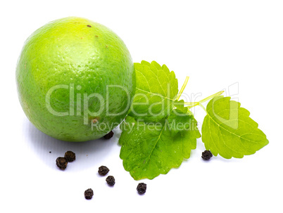 Fresh lime and melissa isolated on white