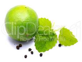 Fresh lime and melissa isolated on white