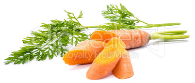 Raw carrot isolated on white