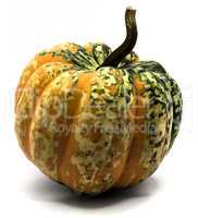 Green pumpkin isolated on white