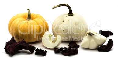 Mix of pumkpin isolated on white