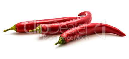 Fresh red chilli pepper isolated