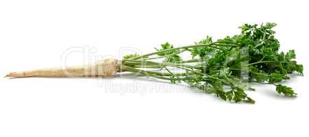 Fresh parsley isolated on white