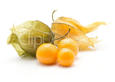 Fresh physalis isolated on white