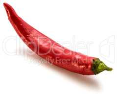 Fresh red chilli pepper isolated