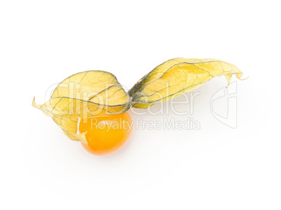 Fresh physalis isolated on white