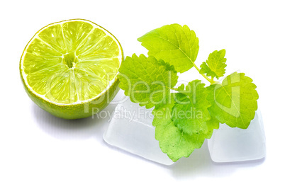 Fresh lime and melissa isolated on white