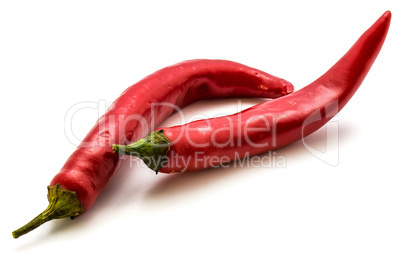 Fresh red chilli pepper isolated