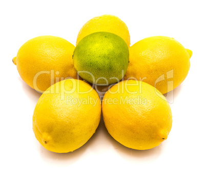 Fresh mixed citrus isolated on white