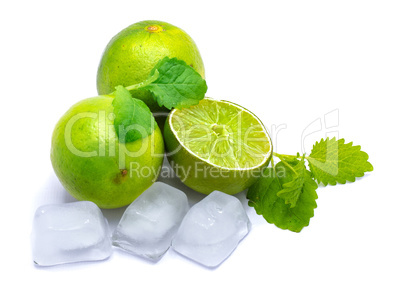 Fresh lime and melissa isolated on white