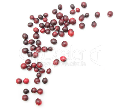 Fresh Cranberry isolated on white