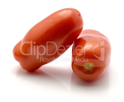 Fresh san marzano tomato isolated on white