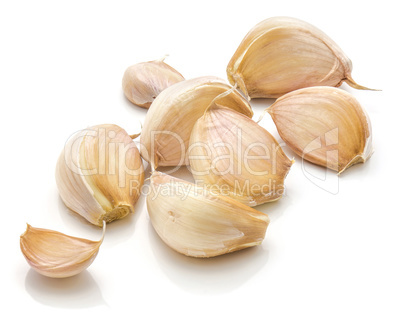 Common garlic isolated on white