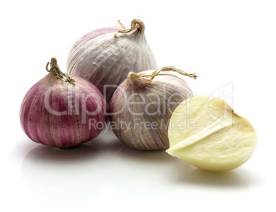 Fresh chinese garlic isolated on white