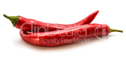 Fresh red chilli pepper isolated