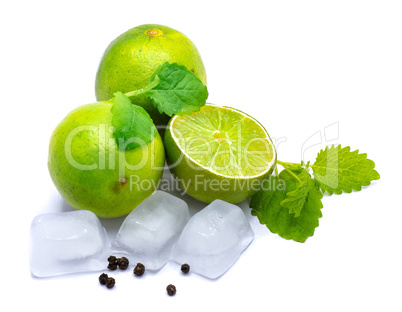 Fresh lime and melissa isolated on white