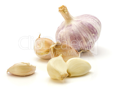 Common garlic isolated on white