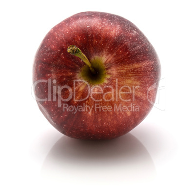 Apple gala variety isolated on white