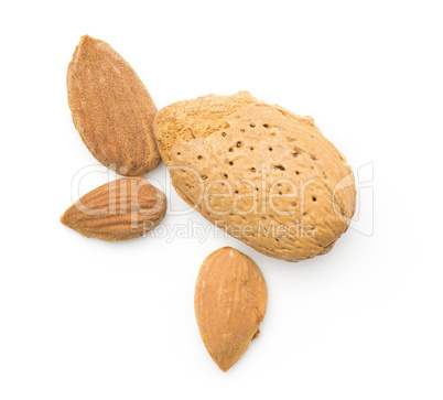 Raw almonds isolated on white