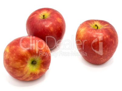 Fresh apple kanzi isolated on white