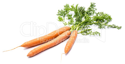 Raw carrot isolated on white